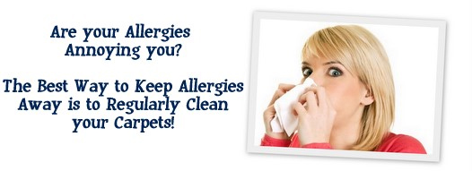 Carpet Cleaning Babylon,  NY