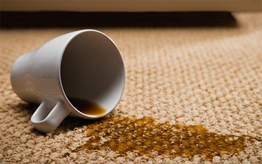 Carpet Cleaning Babylon, NY