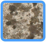 Babylon, NY Water Damage Restoration